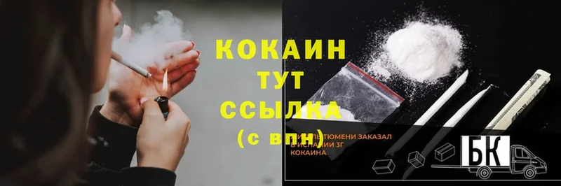 Cocaine Fish Scale  купить закладку  Ивдель 